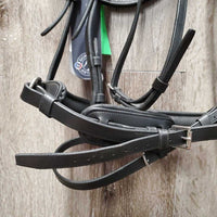 FS Padded Leather Bridle, crank noseband, removable flash, tag *new, mnr film

