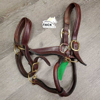 FS Rsd Padded Leather Halter *vgc, dry, scuffs, mnr dirt
