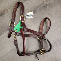 FS Rsd Padded Leather Halter *vgc, dry, scuffs, mnr dirt
