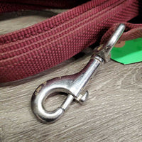 Nylon Web Lunge Line *gc, mnr dirt, stains, rubs
