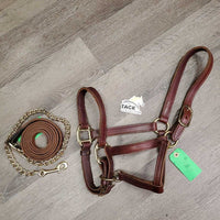 Thick Double Stitch Leather Halter, lthr lead shank, 30" chain *like new, mnr scuffs, staining
