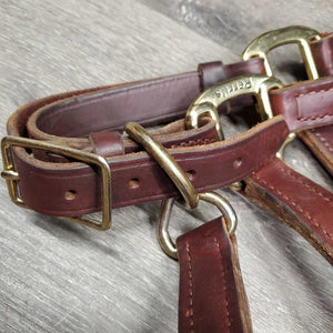 Thick Double Stitch Leather Halter, lthr lead shank, 30" chain *like new, mnr scuffs, staining
