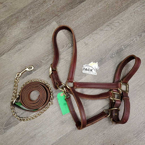 Thick Double Stitch Leather Halter, lthr lead shank, 30" chain *like new, mnr scuffs, staining