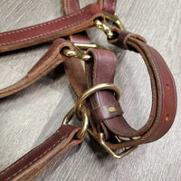 Thick Double Stitch Leather Halter, lthr lead shank, 30" chain *like new, mnr scuffs, staining

