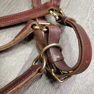 Thick Double Stitch Leather Halter, lthr lead shank, 30" chain *like new, mnr scuffs, staining