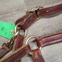 Thick Double Stitch Leather Halter, lthr lead shank, 30" chain *like new, mnr scuffs, staining
