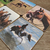 6 Alberta Rangeland Coaster Collection Coasters Set, box *gc, dirty, stains, older, ripped box, rubs
