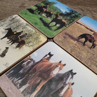 6 Alberta Rangeland Coaster Collection Coasters Set, box *gc, dirty, stains, older, ripped box, rubs
