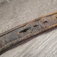 Padded Leather Halter Crownpiece Only *fair, mnr dirt, stained, crackles, scuffed, undone edges, stretched