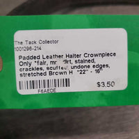 Padded Leather Halter Crownpiece Only *fair, mnr dirt, stained, crackles, scuffed, undone edges, stretched