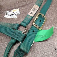 Thick Nylon Halter *vgc, dirty, stiff
