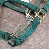Thick Nylon Halter *vgc, dirty, stiff
