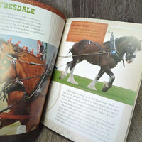 Crazy About Horses by Molly Kolpin and Donna Bowman Bratton *vgc, rubs, creases
