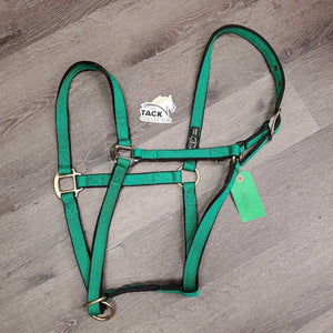 Thick Nylon Halter, Slip Noseband *vgc, clean, older?, mnr rust, stains & rubs