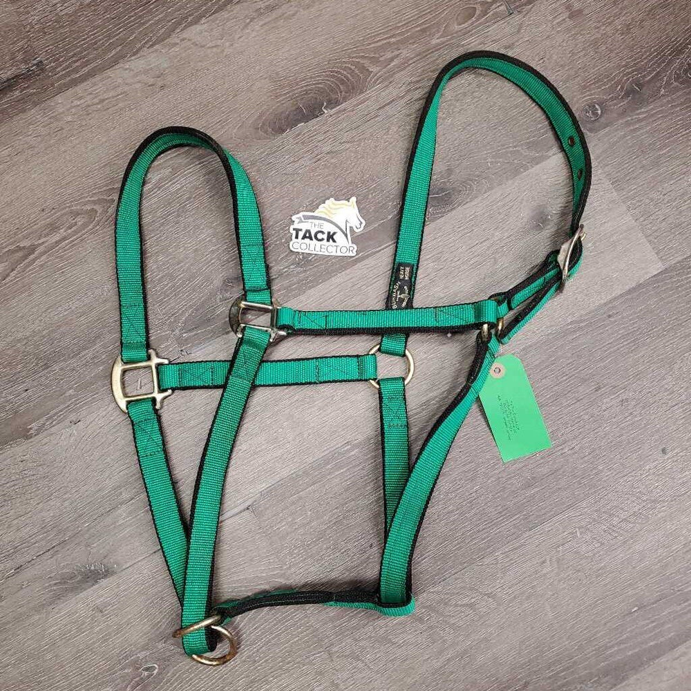 Thick Nylon Halter, Slip Noseband *vgc, clean, older?, mnr rust, stains & rubs