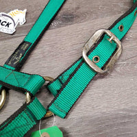 Thick Nylon Halter, Slip Noseband *vgc, clean, older?, mnr rust, stains & rubs