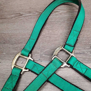 Thick Nylon Halter, Slip Noseband *vgc, clean, older?, mnr rust, stains & rubs