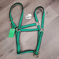 Thick Nylon Halter, Slip Noseband *vgc, clean, older?, mnr rust, stains & rubs