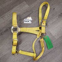 Thick Nylon Halter, adj, snap *vgc, clean, stains, older, v.stiff, twists, older
