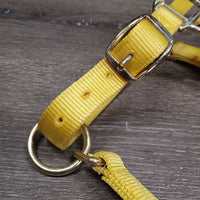 Thick Nylon Halter, adj, snap *vgc, clean, stains, older, v.stiff, twists, older
