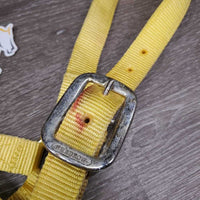 Thick Nylon Halter, adj, snap *vgc, clean, stains, older, v.stiff, twists, older
