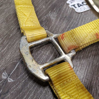 Thick Nylon Halter, adj, snap *vgc, clean, stains, older, v.stiff, twists, older
