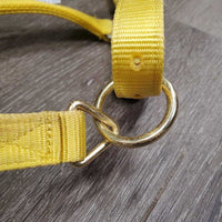 Thick Nylon Halter, adj, snap *vgc, clean, stains, older, v.stiff, twists, older
