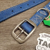 Thick Nylon Dog Collar *gc, mnr dirt, rust & stains
