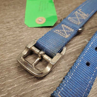 Thick Nylon Dog Collar *gc, mnr dirt, rust & stains
