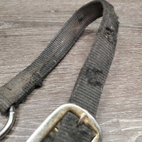 Thick Nylon Halter, attached Chin Chain *fair, v.dirty, xholes, frays, v.rubbed, snags, stains, faded
