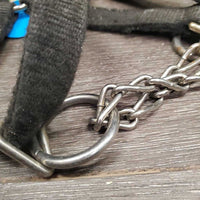 Thick Nylon Halter, attached Chin Chain *fair, v.dirty, xholes, frays, v.rubbed, snags, stains, faded
