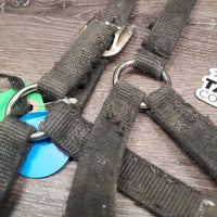 Thick Nylon Halter, attached Chin Chain *fair, v.dirty, xholes, frays, v.rubbed, snags, stains, faded
