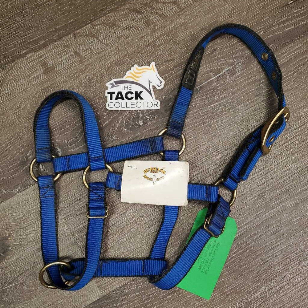 Nylon Halter, tag *new, hairy, clean