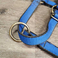 Nylon Halter, tag *new, hairy, clean