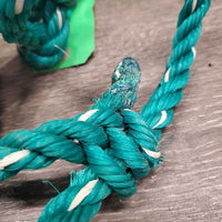 Cow/Calf Stiff Nylon Rope Halter & lead shank *gc, dirt, stiff, rubs, broken strins
