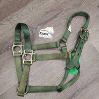 v.thick Nylon Halter *gc/vgc, clean, discolored, faded, v.stiff & twist
