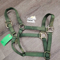 v.thick Nylon Halter *gc/vgc, clean, discolored, faded, v.stiff & twist
