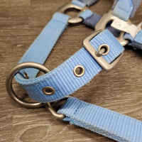 Nylon Fleece Lined Breakaway Halter, adj, snap *gc, MISSING Leather Breakaway Strap, clean, stains, rubs & hair
