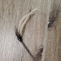 Lunge Whip *fair, broken in half, rubs, v.taped