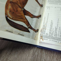 VINTAGE The Horsemans Notebook by Mary Rose *fair/gc, stains, mnr rip, inscribed, stuck pages, mold?mildew
