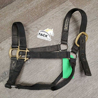 Nylon Halter *gc, mnr dirt, stains, residue, hair, faded, mnr fray
