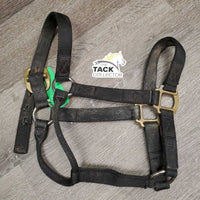 Nylon Halter *gc, mnr dirt, stains, residue, hair, faded, mnr fray
