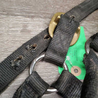 Nylon Halter *gc, mnr dirt, stains, residue, hair, faded, mnr fray
