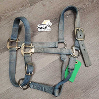 Thick Nylon Halter, adj, snap *gc/fair, faded, dirty, stains, discolored, rubs, frays
