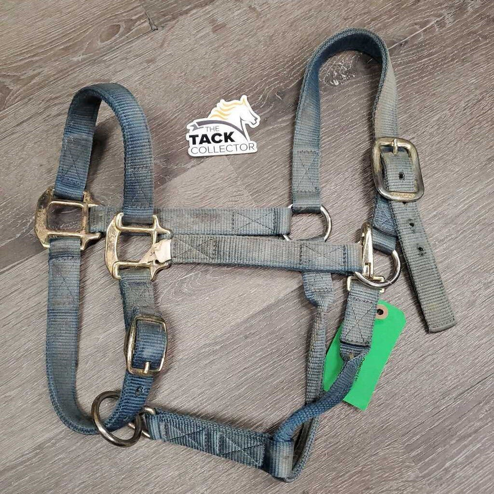 Thick Nylon Halter, adj, snap *gc/fair, faded, dirty, stains, discolored, rubs, frays
