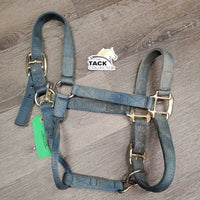 Thick Nylon Halter, adj, snap *gc/fair, faded, dirty, stains, discolored, rubs, frays
