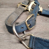 Nylon Halter, adj, snap *gc, filthy, stains, rubs, frayed holes & edges
