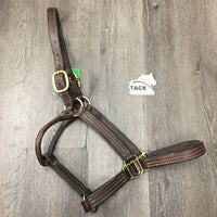 Double Stitched Soft Leather Halter *gc/fair, clean, scrapes, slices, chews, mnr dirt & stains, stitching rubs, older