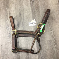 Double Stitched Soft Leather Halter *gc/fair, clean, scrapes, slices, chews, mnr dirt & stains, stitching rubs, older
