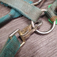 Thick Nylon Breakaway Halter, snap, adj * fair, faded, v.stiff, twisted, faded, v.stained, curled
